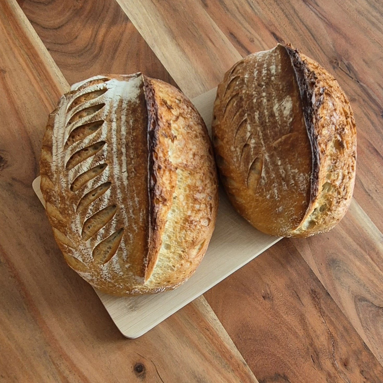 Du betrachtest gerade Sauerteig Brot